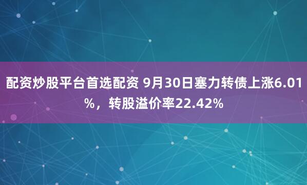 配资炒股平台首选配资 9月30日塞力转债上涨6.01%，转股溢价率22.42%