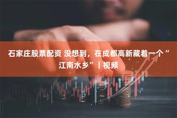 石家庄股票配资 没想到，在成都高新藏着一个“江南水乡”｜视频